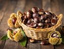 castagne calorie